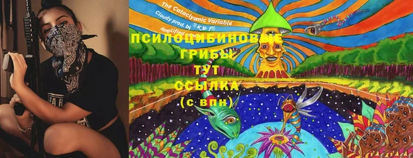 мяу мяу мука Алзамай