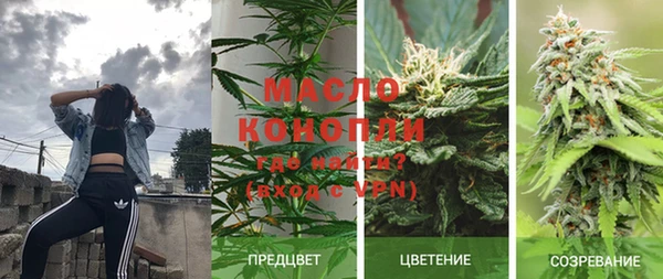 мет Алексин