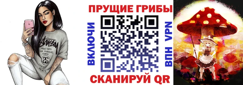 Псилоцибиновые грибы прущие грибы Алзамай
